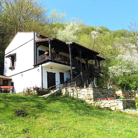 Milkovata Guest House Koshov エクステリア 写真
