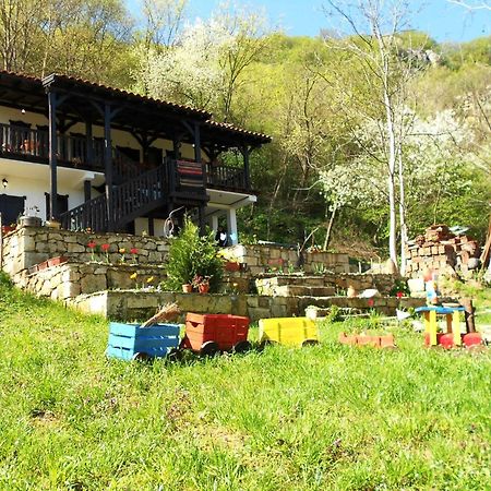 Milkovata Guest House Koshov エクステリア 写真