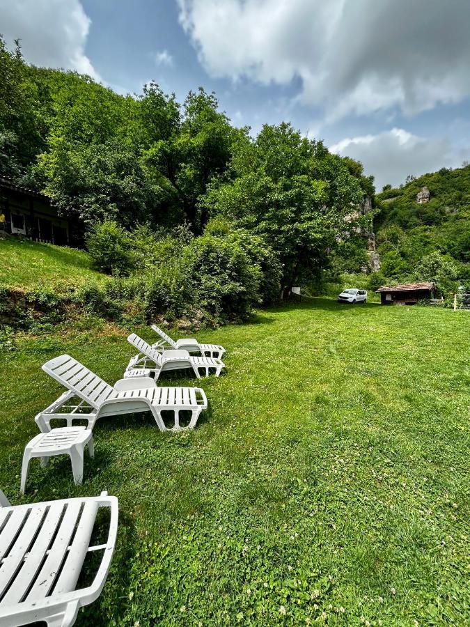Milkovata Guest House Koshov エクステリア 写真