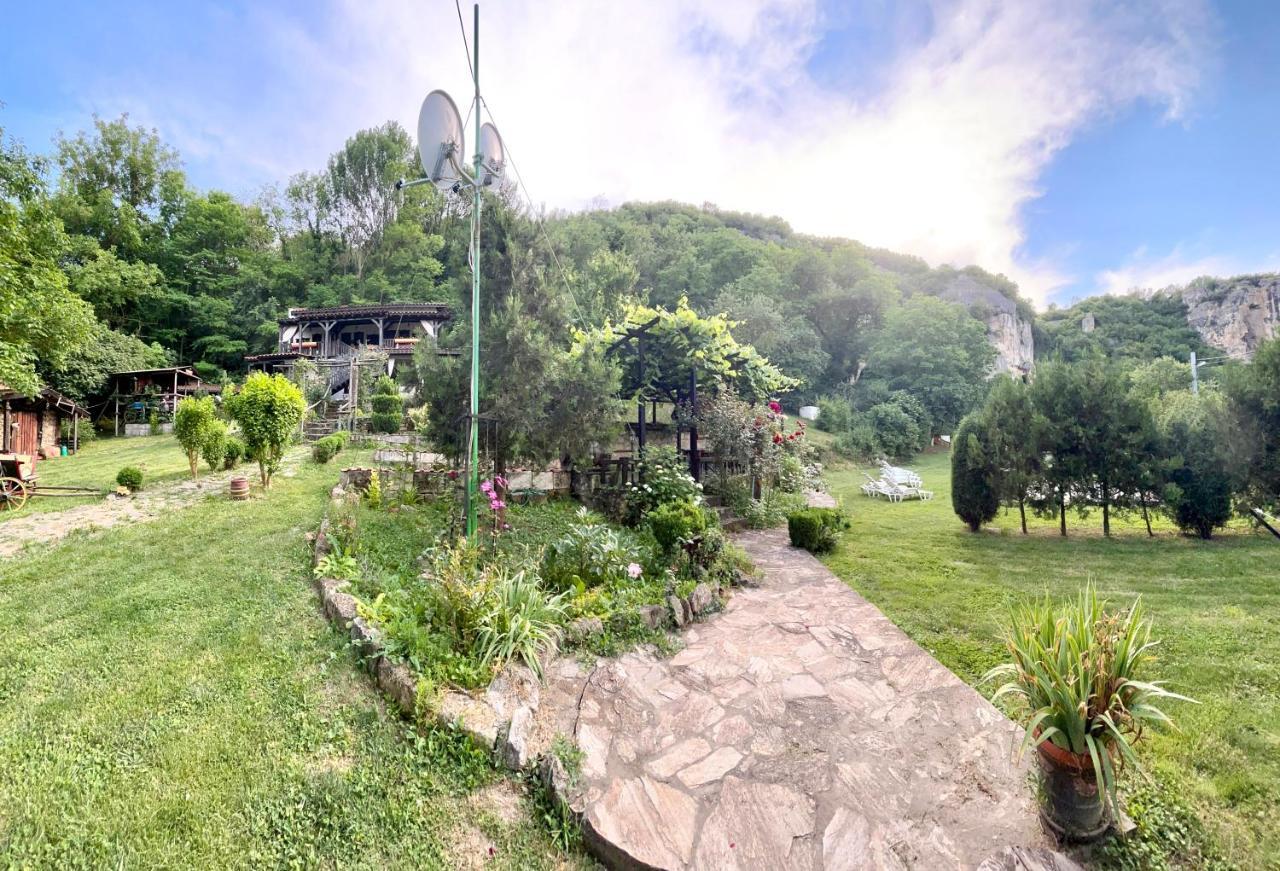 Milkovata Guest House Koshov エクステリア 写真
