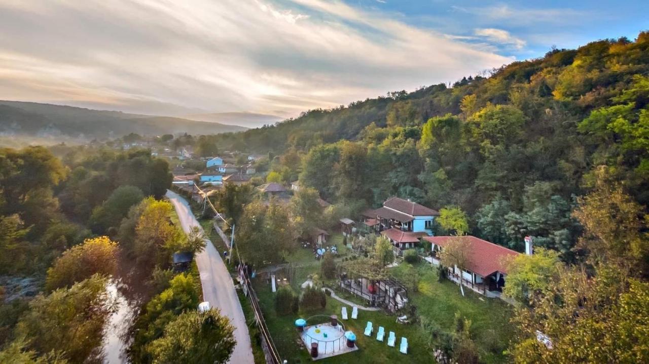 Milkovata Guest House Koshov エクステリア 写真