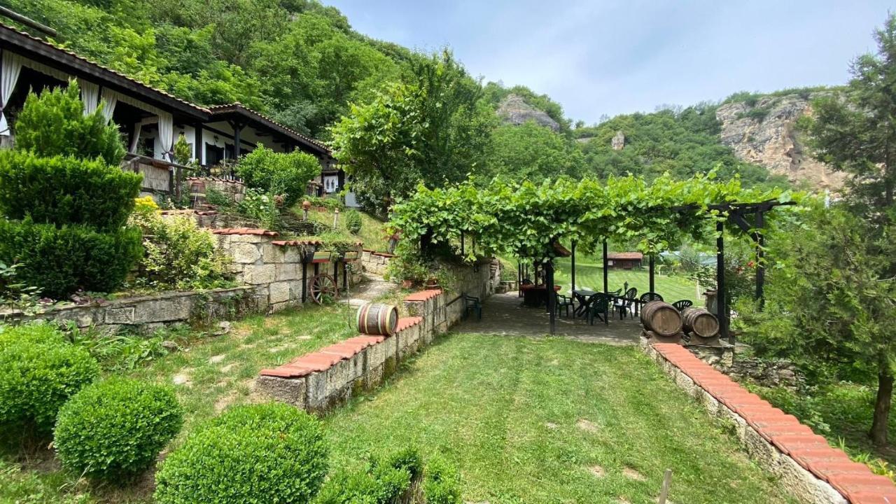 Milkovata Guest House Koshov エクステリア 写真