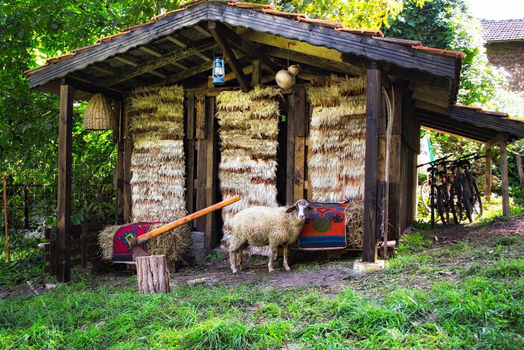 Milkovata Guest House Koshov 部屋 写真